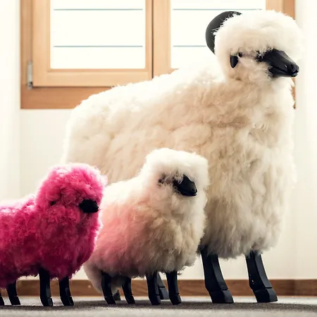 Conrad's Mountain Hotell Silvaplana